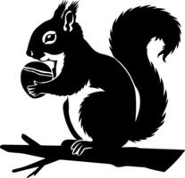 Squirrel with acorn on tree branch vector