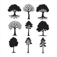 a set of trees with different types of leaves vector