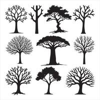 Set of Tree Silhouettes with Detailed Roots and Leaf vector