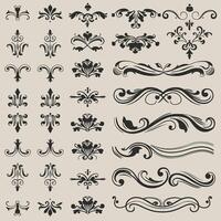 Black and white scrolls add charm to intricate vintage designs. vector