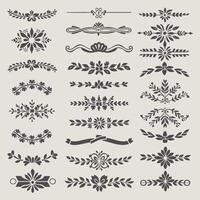 Beautiful Slate color ornate design elements, decorative borders, dividers, floral, geometric motif vector