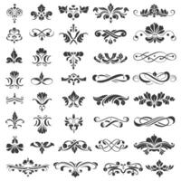 Black and white scrolls add charm to intricate designs. vector
