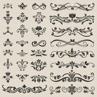 Black and white scrolls and swirls enhance ornate designs. vector