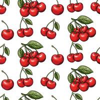 Seamless pattern, cherry berry sketch, engraving. color line drawing . vector