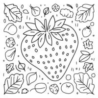 A coloring page with strawberries and leaves vector