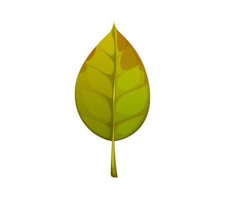 Cartoon autumn green leaf with brownish shades