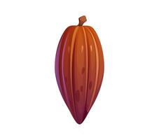 Cartoon cocoa pod or bean with ribbed texture vector