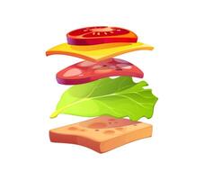 Sandwich showing the layers of fresh ingredients vector