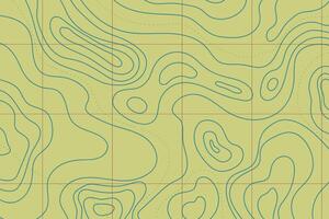 Topographic map with mountain relief and wavy contour lines. Abstract land design from a top-down view. vector