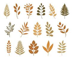 Autumn leaves collection, set of leaves isolated on transparent background. Hand drawn autumn collection with seasonal plants and twigs. A set of silhouettes of autumn leaves, branches in warm colors vector
