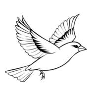 american goldfinch flying, illustration line art vector