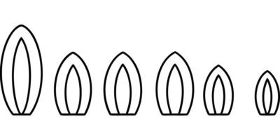 a row of surfboards all sizes, illustration line art vector