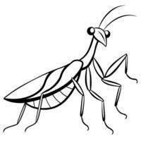 mantis animal, different style art, solid white color background, illustration line art vector