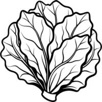 a realistic illustration of collard greens, featuring large, dark green leaves with vector