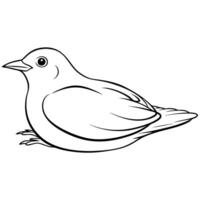a blackbird bird is lying down, illustration line art vector