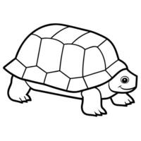 a box turtle with its shell closed and head partially visible, illustration line art vector