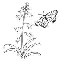 a butterfly is extracting nectar from a yucca flower, illustration line art vector