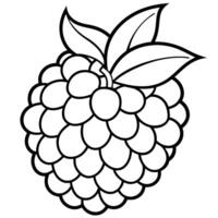a coloring page of an food blackberry with no color just black lines, illustration line art vector