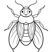 a coloring page of an bug with no color just black lines, illustration line art vector