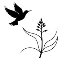 the bird is flying on this yucca flower, illustration line art vector