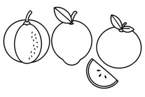 4 difference of guava, illustration line art vector