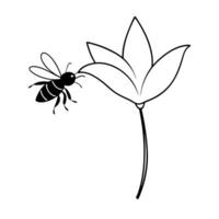 a bee is extracting honey from a zephyranthes rain lily flower, illustration line art vector