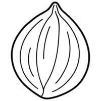 3d rendering of dynamic walnut seeds silhouette beautiful line art, illustration line art vector