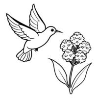 the bird is flying on this statice flower, illustration line art vector