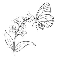 a butterfly is extracting nectar from a veronica flower, illustration line art vector
