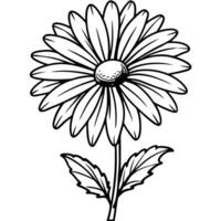one daisy on an empty background, illustration line art vector