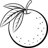 orange, illustration line art vector