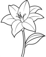 a coloring page of an amaryllis with no color just black lines, illustration line art vector