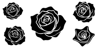 set of different rose silhouette only white background, illustration line art vector