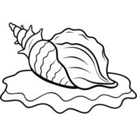 a conch shell resting on the ocean floor, illustration line art vector