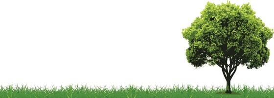 a big tree on a green field with a white background vector