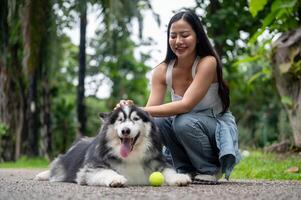A beautiful Siberian husky is laying on a street in a park with a tennis ball and its owner nearby. photo