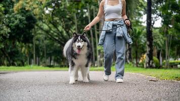 A woman is training her dog while walking it on a leash in a green park. photo