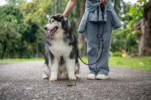 A female dog owner is training her dog while taking it for a walk in a park, teaching it to sit. photo