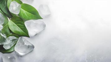 Tranquil Setting Sunlit Salt Stones and Green Leaves of Riskus in Nature photo