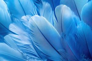 Close-up of vibrant blue feathers showcasing intricate textures and patterns in natural light photo