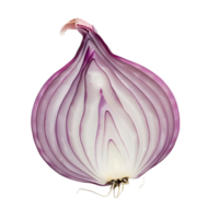 Sliced red onion with layers isolated on transparent background png