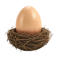 Egg in Nest isolated on transparent background png