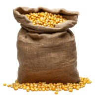 Corns in sack bag isolate on transparent background png