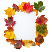 White blank paper on pile of colorful autumn leaves top view isolate on transparent background png