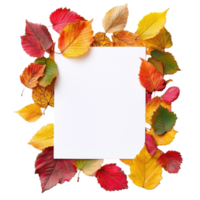 White blank paper on pile of colorful autumn leaves top view isolate on transparent background png