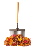 Rake and pile of colorful autumn leaves isolate on transparent background png