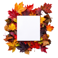 White blank paper on pile of colorful autumn leaves top view isolate on transparent background png