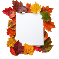 White blank paper on pile of colorful autumn leaves top view isolate on transparent background png