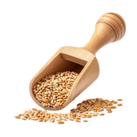 Wheat and wooden scoop front view isolate on transparent background png
