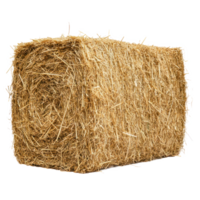 Rectangle hay bale isolate on transparent background png